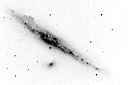 N4631neg.JPG